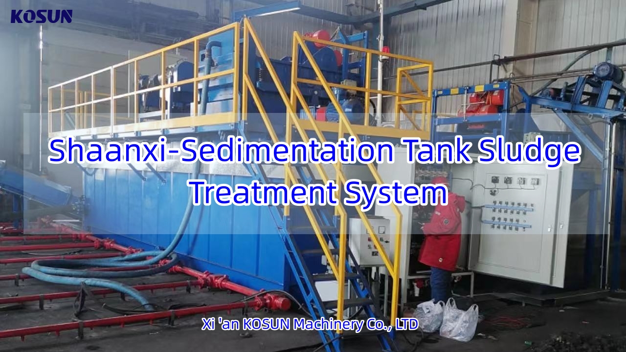 Sedimentation tank sludge treatment system