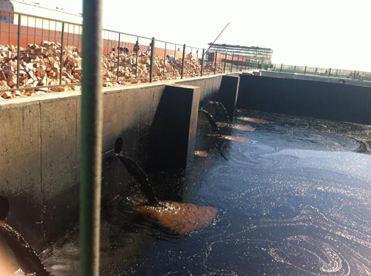 kosun waste management system