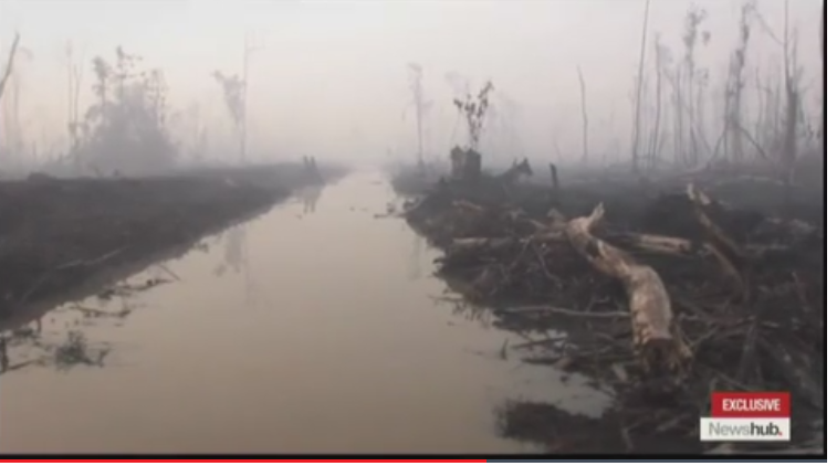 1706271498543929489336.png 2.png